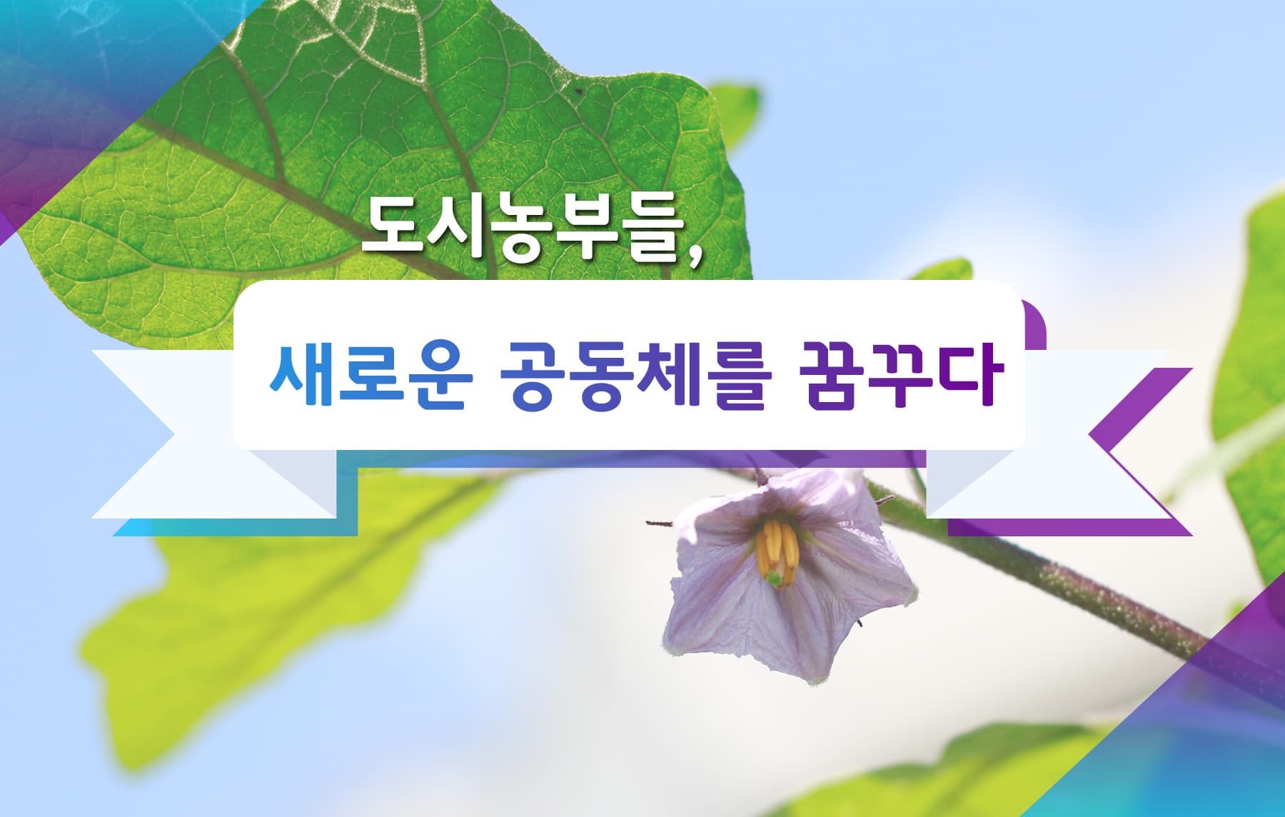 도시농부들, 새로운 공동체를 꿈꾸다